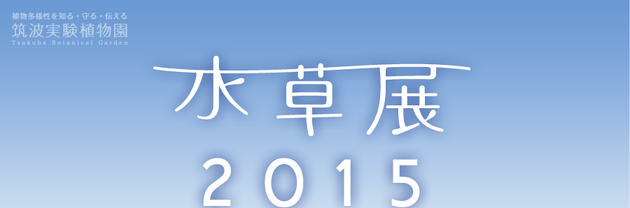 水草展2015開催します！