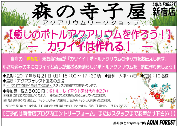 【新宿店】森の寺子屋「癒しのボトルアクアリウムを作ろう！」開催のお知らせ　5月21日(日)