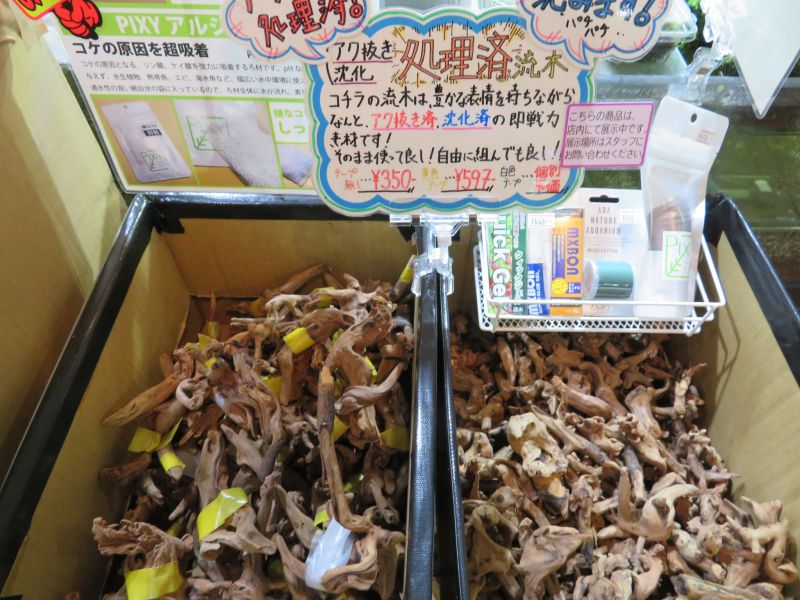 【新宿店】流木と本と瓶と寺子屋と引越しのハナシ