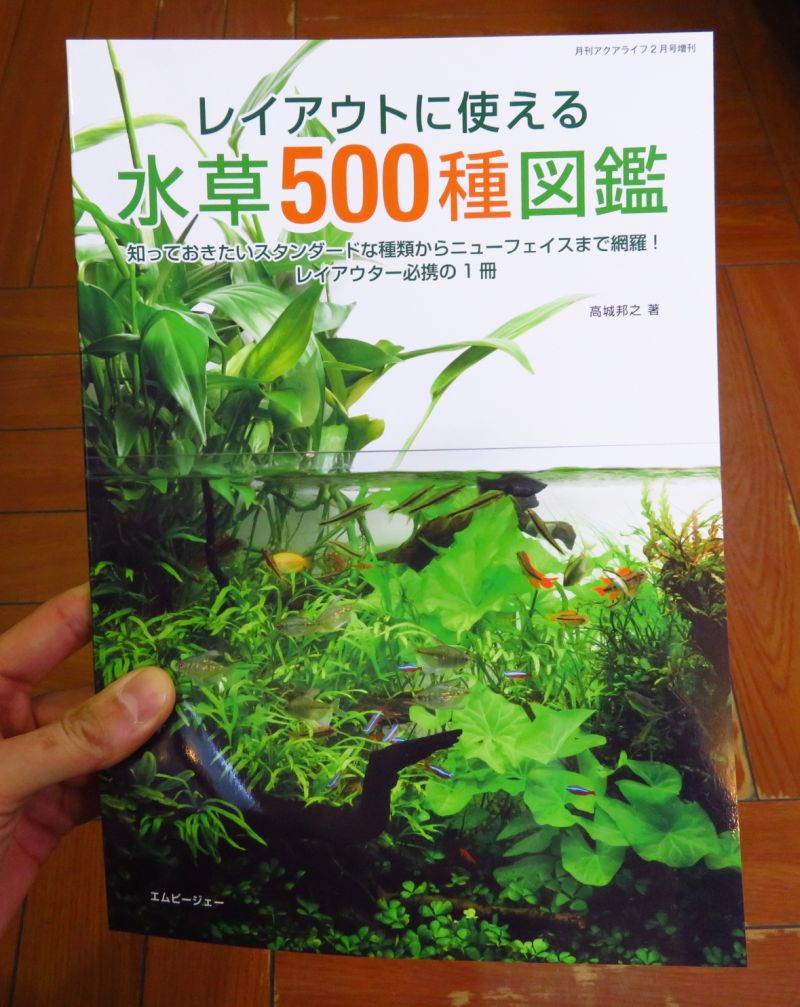 【新宿店】水草500種図鑑発売！