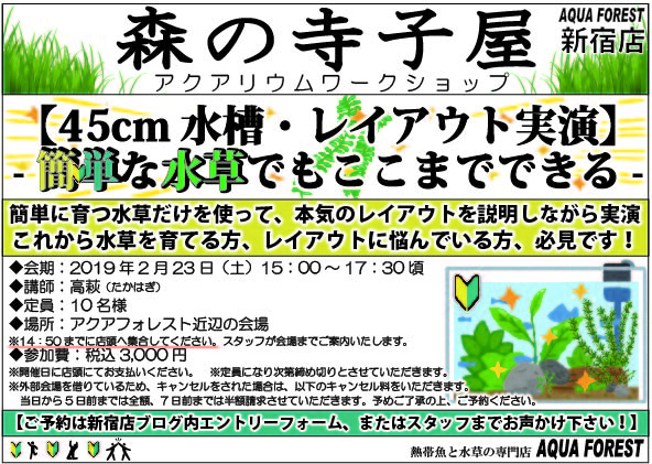 【新宿店】2019年2月23日（土）森の寺子屋45㎝水槽レイアウト実演ー簡単な水草でもここまでできるー開催します♪♪