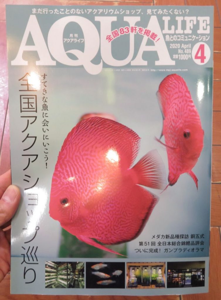 【新宿店月刊誌アクアライフ、、アクアジャーナル入荷しました