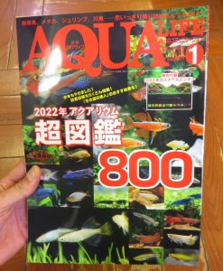 【新宿店】今月のアクアライフは熱帯魚図鑑！