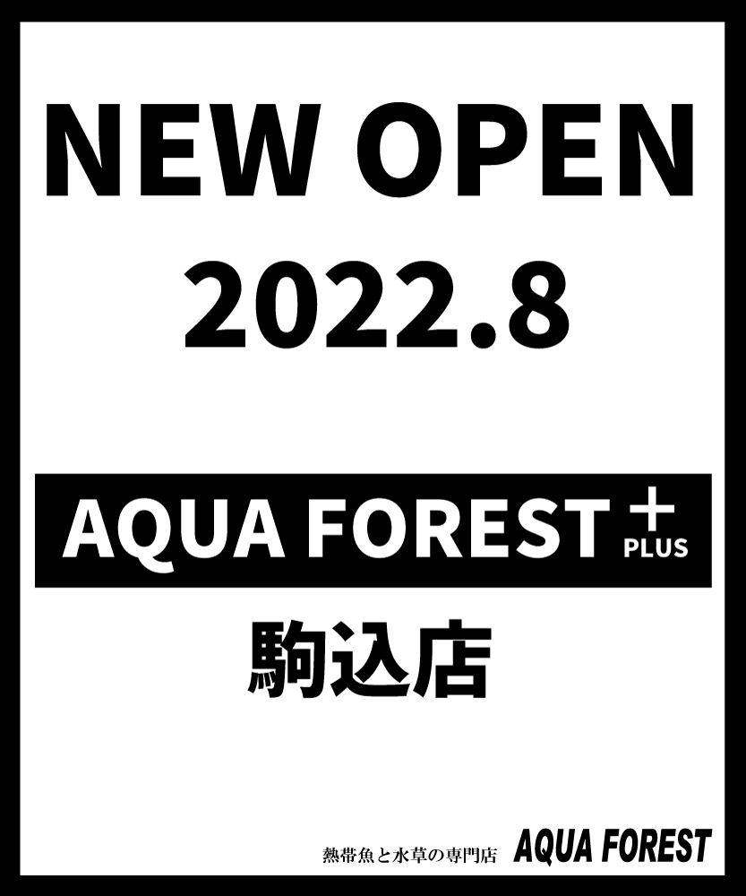 AQUA FOREST+駒込店　8月上旬オープン予定！
