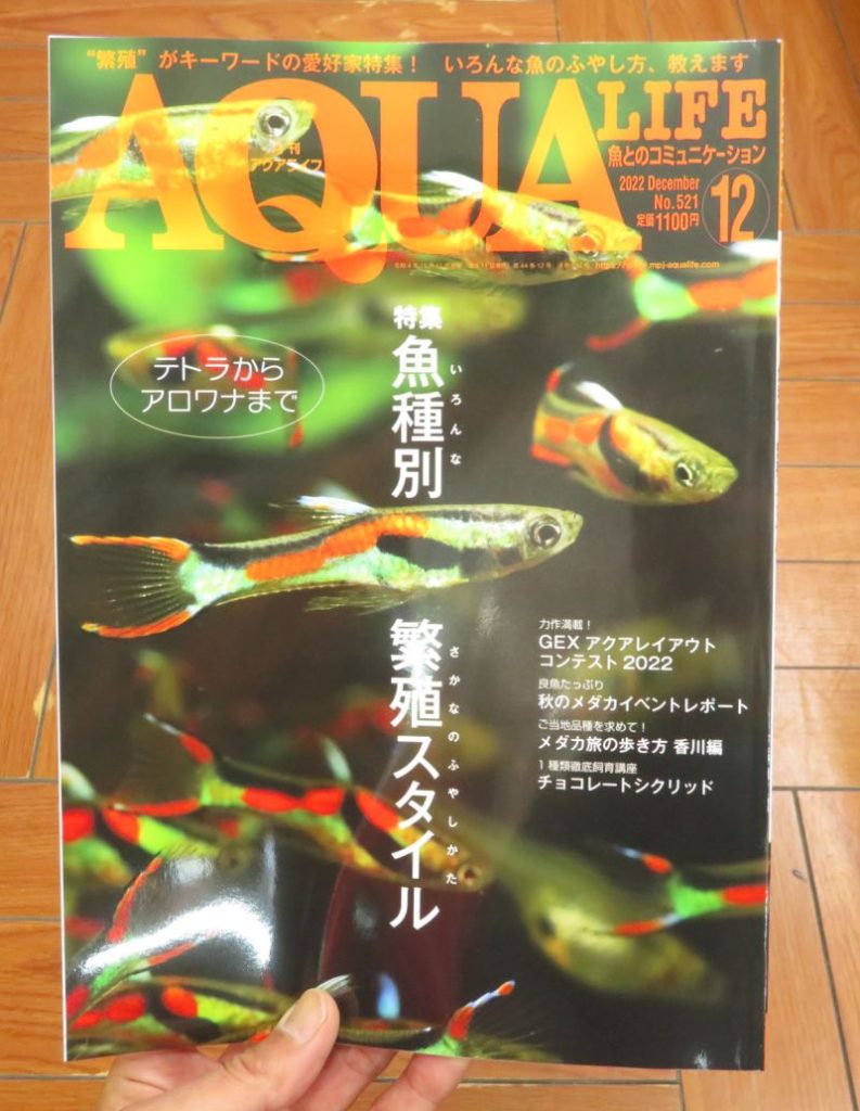【新宿店】月刊誌　アクアライフ、アクアジャーナル入荷しました