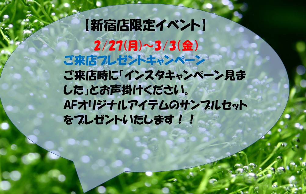 【新宿店限定】来店プレゼントキャンペーン！2月27日（月）～3月3日（金）