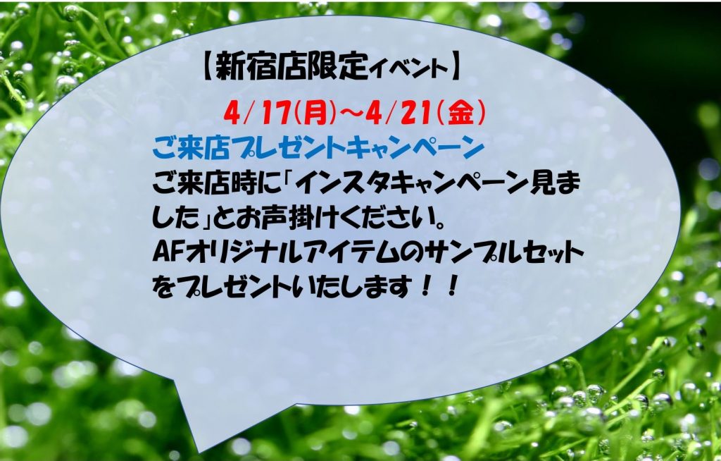【新宿店限定】来店プレゼントキャンペーン！4月17日（月）～4月21日（金）