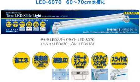 led6070_01.jpg